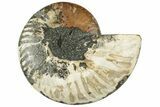 Cut & Polished Ammonite Fossil (Half) - Madagascar #317934-1